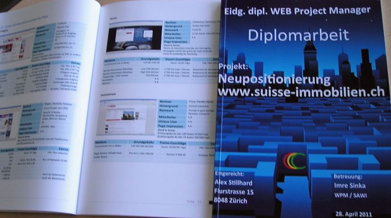 WEB dipl. Arbeit